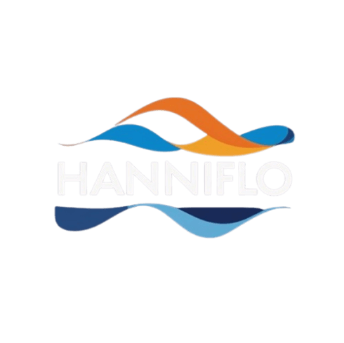 Hanniflo Logo